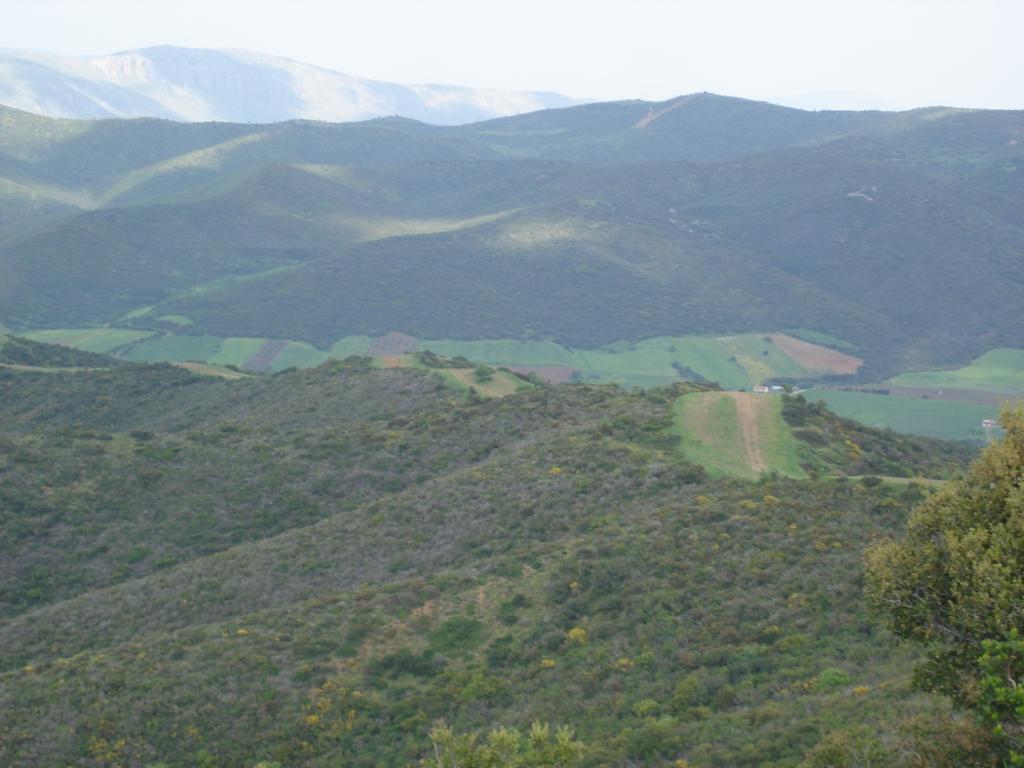 ΑΝΑΛΥΤΙΚΗ ΠΡΟΣΕΓΓΙΣΗ ΠΕΙΡΑΜΑΤΩΝ ΟΙΚΟΛΟΓΙΚΩΝ ΔΙΑΔΡΟΜΩΝ Για να κατανοήσουμε πλήρως τον τρόπο λειτουργίας των οικολογικών διαδρόμων, είναι απαραίτητο να μελετήσουμε τον τρόπο που εφαρμόζονται σε