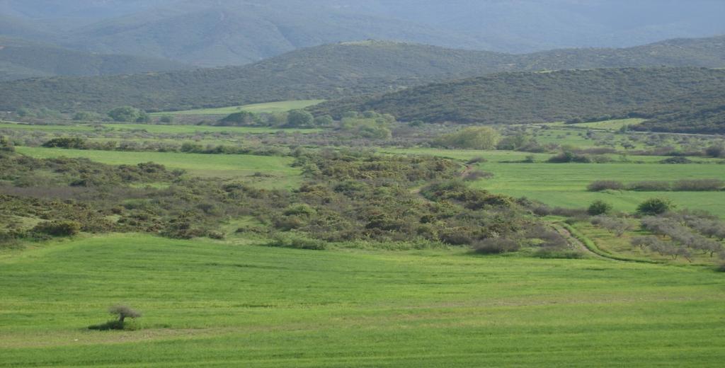 ΣΧΟΛΙΑΣΜΟΣ ΑΠΟΤΕΛΕΣΜΑΤΩΝ Βλέποντας τα στοιχεία που προκύπτουν από τη μελέτη των 10 διαφορετικών ειδών στην περιοχή, μπορούμε πλέον να δώσουμε απάντηση σε δύο από τα ερωτήματα που θέσαμε στην εισαγωγή