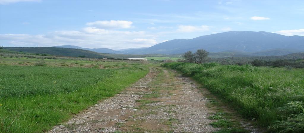 ΔΙΑΣΠΟΡΑ ΦΥΤΙΚΩΝ ΕΙΔΩΝ ΑΠΟ ΜΗ-ΑΣΦΑΛΤΟΣΤΡΩΜΕΝΑ ΟΔΙΚΑ ΣΥΣΤΗΜΑΤΑ ΕΙΣΑΓΩΓΗ Για να μειώσουμε την απειλή των φυτικών ειδών που εισβάλλουν ως ξενιστές σε ένα φυσικό οικοσύστημα, επιβάλλεται να