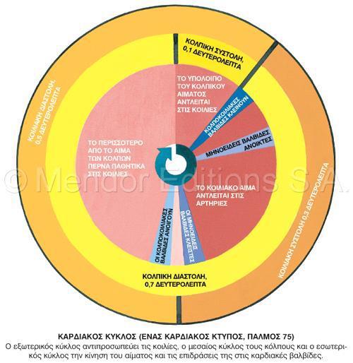 26 Εικόνα 4. Ο καρδιακός κύκλος.