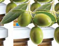 200102 900283 Black Μαύρη CAMPUS Olive