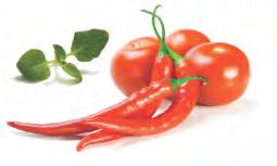ASOP Red Pepper Sauce - 300gr 