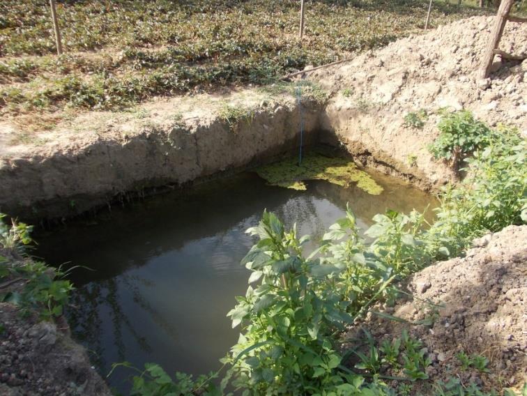 O soluţie mai ieftină a fost găsită de fermierii mici prin forarea de puţuri cu diametre mici (puţuri americane), la adâncimi reduse, pe propriile terenuri, pentru a aduce la suprafaţă apa din pânză