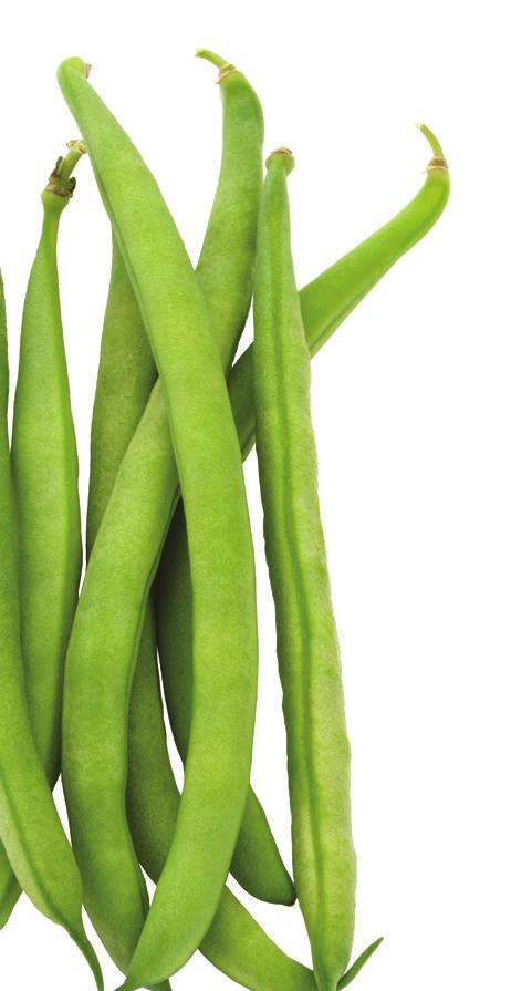 τα λαχανικά VEGETERRA καταψύχονται στην ιδανική