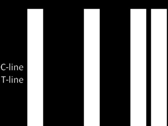 Simple Interpretation of Results Oταν η ένταση του χρώματος στην T-line είναι μεγαλύτερη από την ενταση στη