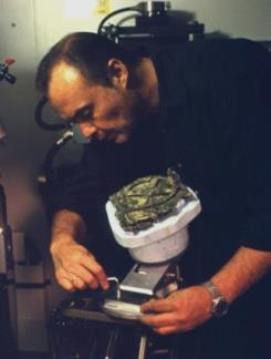Mike Edmunds