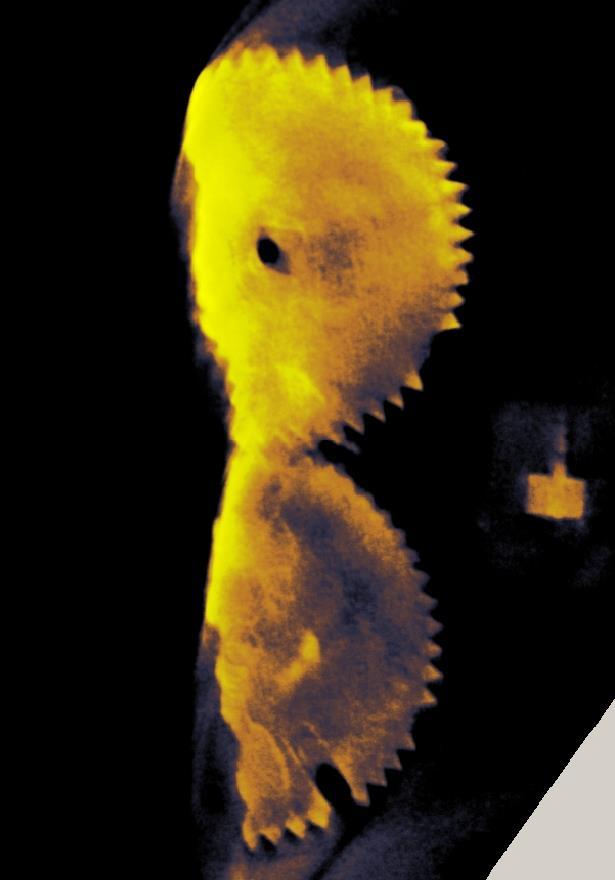 The eccentric orbit of the Moon Radio Astronomy and the Antikythera Mechanism 54