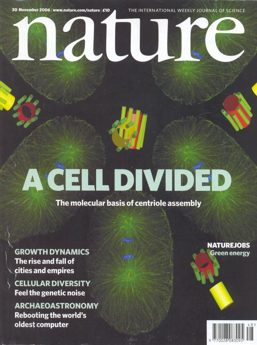 1 st publication in