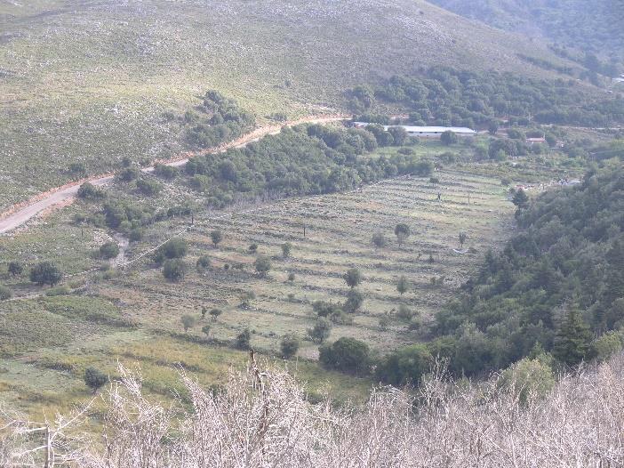 την ανάλογη πρωτογενή -υλική- παραγωγή -επιβεβαιώνοντας την αδιάσπαστη ενότητα του υλικού με το άυλο- για να