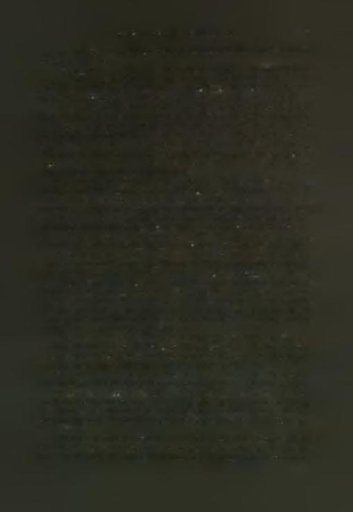 (Forschungen auf Kreta 1942, 1951, 79,5 καί πίν. 52,1. CV Miinchen 3, στον πίν. 142, 9). Είναι κρίμα πού ή «ύστατη μινωική» αύτή οΐνοχόη δέν μπορεί νά χρονολογηθή μέ ακρίβεια.