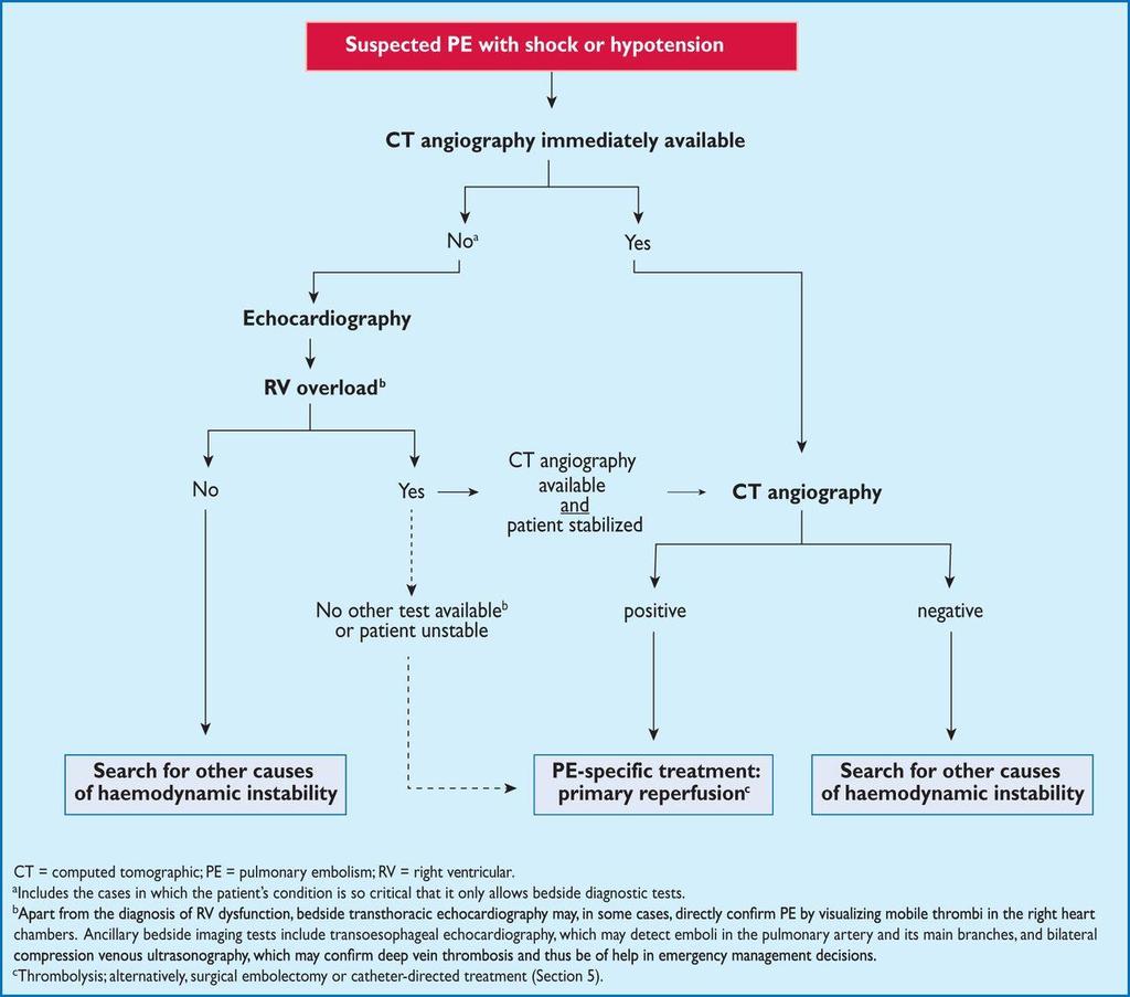 Proposed diagnostic algorithm for patients with suspected high-risk PE Echocardiography may be of further help in the differential diagnosis of the cause of