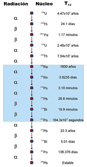 polonio-214 e polonio-218 (Figura 1), que poden chegar a acumularse a niveis elevados nos espazos pechados.