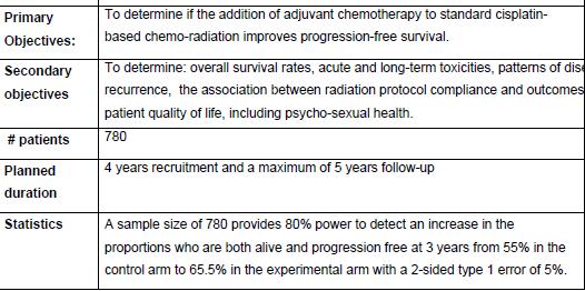 THE ISSUE OF ADJUVANT CHEMOTHERAPY ONGOING STUDIES!