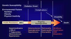 The)ConRnuum)of)Cardiovascular)Risk)in)Type)2) Diabetes) American Diabetes Association Diabetes Care 26:3160-3167 (2003).