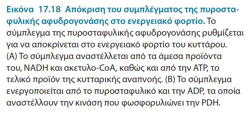 ΒΙΟΧΗΜΕΙΑ, ΠΕΚ 2014 Παράδειγμα: Έναρξη άσκησης ενεργοποιείται η γλυκόλυση