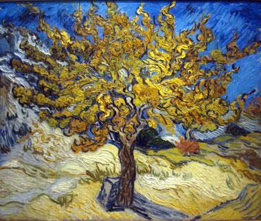 seed, you could say to this mulberry tree, Be uprooted and planted in the sea, and it would obey you'. Once more Jesus uses examples from his surroundings as teaching aids, this mulberry tree.