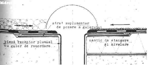 ROSTURI CU.