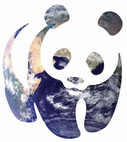 80% Η οικονομική διαχείριση του WWF Ελλάς ελέγχεται από ορκωτούς λογιστές σε ετήσια βάση από το 1995. των περιβαλλοντικών δράσεων του WWF Ελλάς εντάσσεται στις παγκόσμιες προτεραιότητες του WWF.