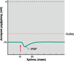 Φυσιολογία του Ανθρώπου. 8 η Εκδοση. Vander, Sherman, Luciano, Τσακόπουλος. Εκδόσεις Πασχαλίδη 2001.