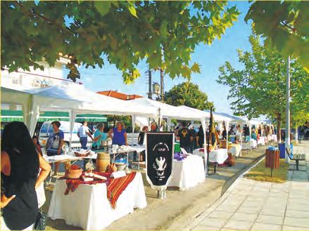 Τις δύο (2) τελευταίες ημέρες συμμετείχαμε στο στο 2ο Φεστιβάλ Παραδοσιακών Χορών που διοργάνωσε ο Δήμος Ναυπλιέων, που για μία ακόμη φορά το τμήμα παραστάσεων εντυπωσίασε με την καλλιτεχνική του