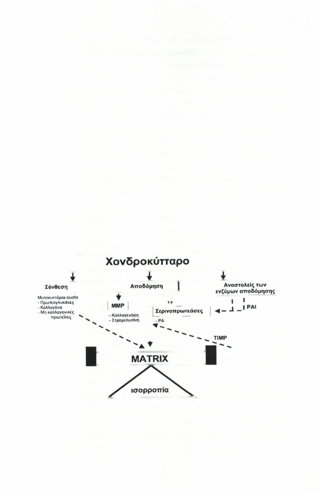 Ανασκόπηση Βιβλιογραφίας 16 σπονδυλικής στήλης, τα ισχία και τα γόνατα (Dennison & Cooper, 2003; Mannoni, Briganti, & Di Bari, 2003).