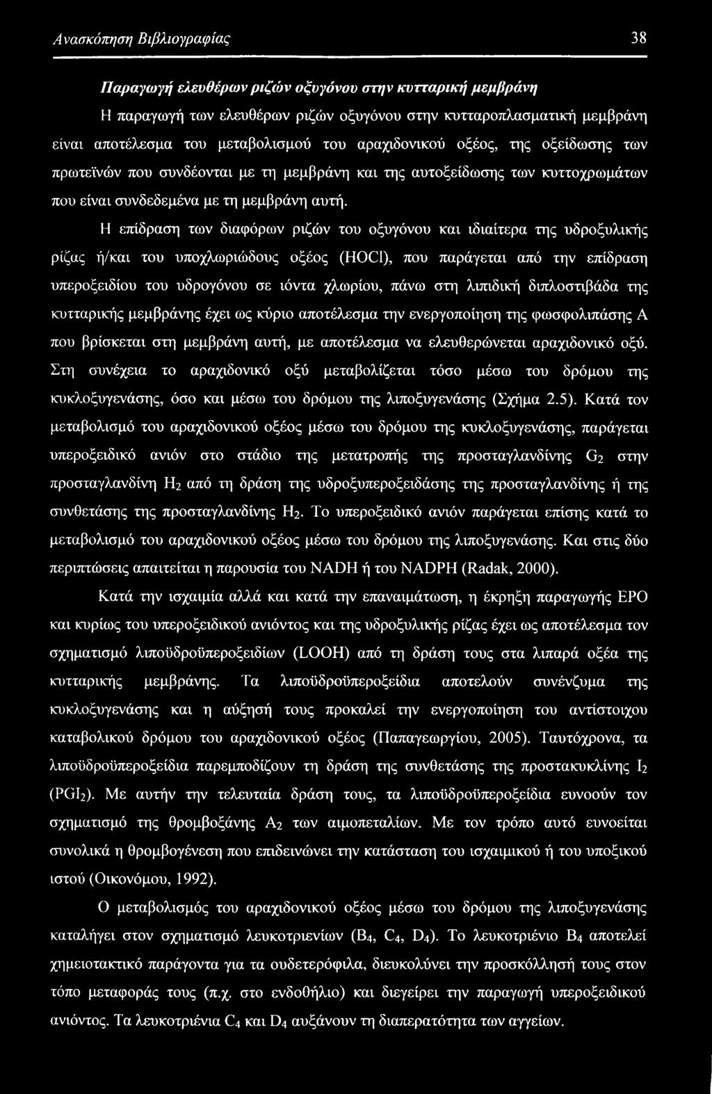 Η επίδραση των διαφόρων ριζών του οξυγόνου και ιδιαίτερα της υδροξυλικής ρίζας ή/και του υποχλωριώδους οξέος (HOC1), που παράγεται από την επίδραση υπεροξειδίου του υδρογόνου σε ιόντα χλωρίου, πάνω