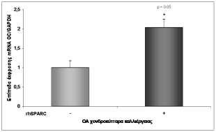 Μελέτη της έκφρασης του OC mrna σε ΟΑ χονδροκύτταρα καλλιέργειας μετά από εξωκυττάρια χορήγηση οστεονεκτίνης Η αύξηση των επιπέδων έκφρασης του mrna του μεταγραφικού παράγοντα RUNX2 που προκάλεσε η