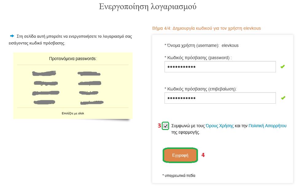 11. Τσεκάρετε (3) «Συμφωνώ με τους Όρους χρήσης και την Πολιτική