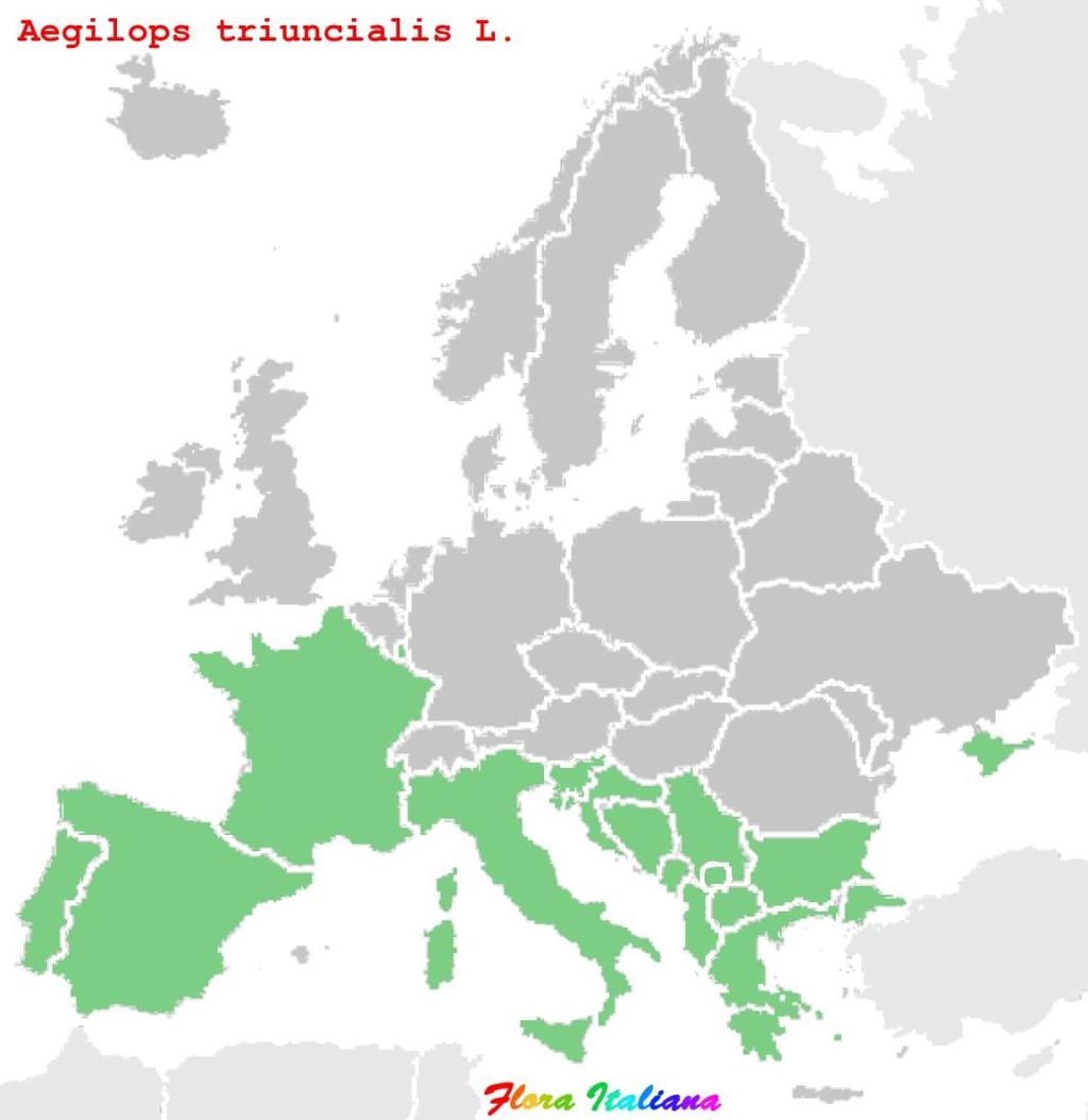 ΑΝΕΠΙΘΥΜΗΤΟ