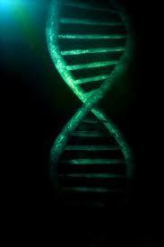 DNA-RNA