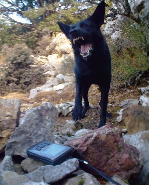 Αξίζει να σημειωθεί, ότι σε αντίστοιχες επιθεωρήσεις που έγιναν την περίοδο 8-18 Οκτωβρίου 2012 στην περιοχή Αντιχάσια Μετέωρα, με το συντονισμό της περιβαλλοντικής οργάνωσης ΑΡΚΤΟΥΡΟΣ και στο