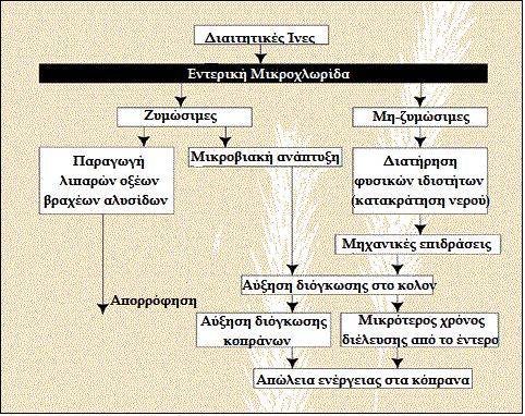 την άλλη πλευρά, ορισμένοι ερευνητές θεωρούν ότι αυτή η αύξηση του ιξώδους έχει την αντίθετη επίδραση και παρεμποδίζει την απορρόφηση (72).