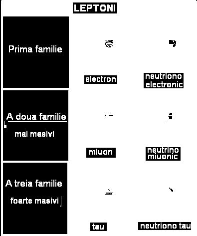 Toate aceste şase particule au antiparticule corespunzătoare Toţi leptonii încărcaţi au o singură unitate electrică negativă sau pozitivă, depinzând de faptul dacă sunt particule sau antiparticule
