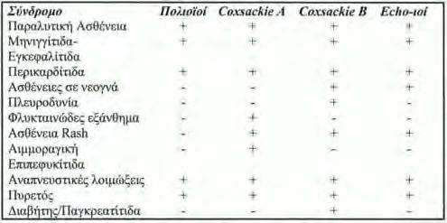 Εικόνα 12: Οι κυριότερες κλινικές εκδηλώσεις, σχετιζόμενες με μόλυνση από εντεροϊούς. Ανατύπωση από: Witwer et al. 2001 iv.