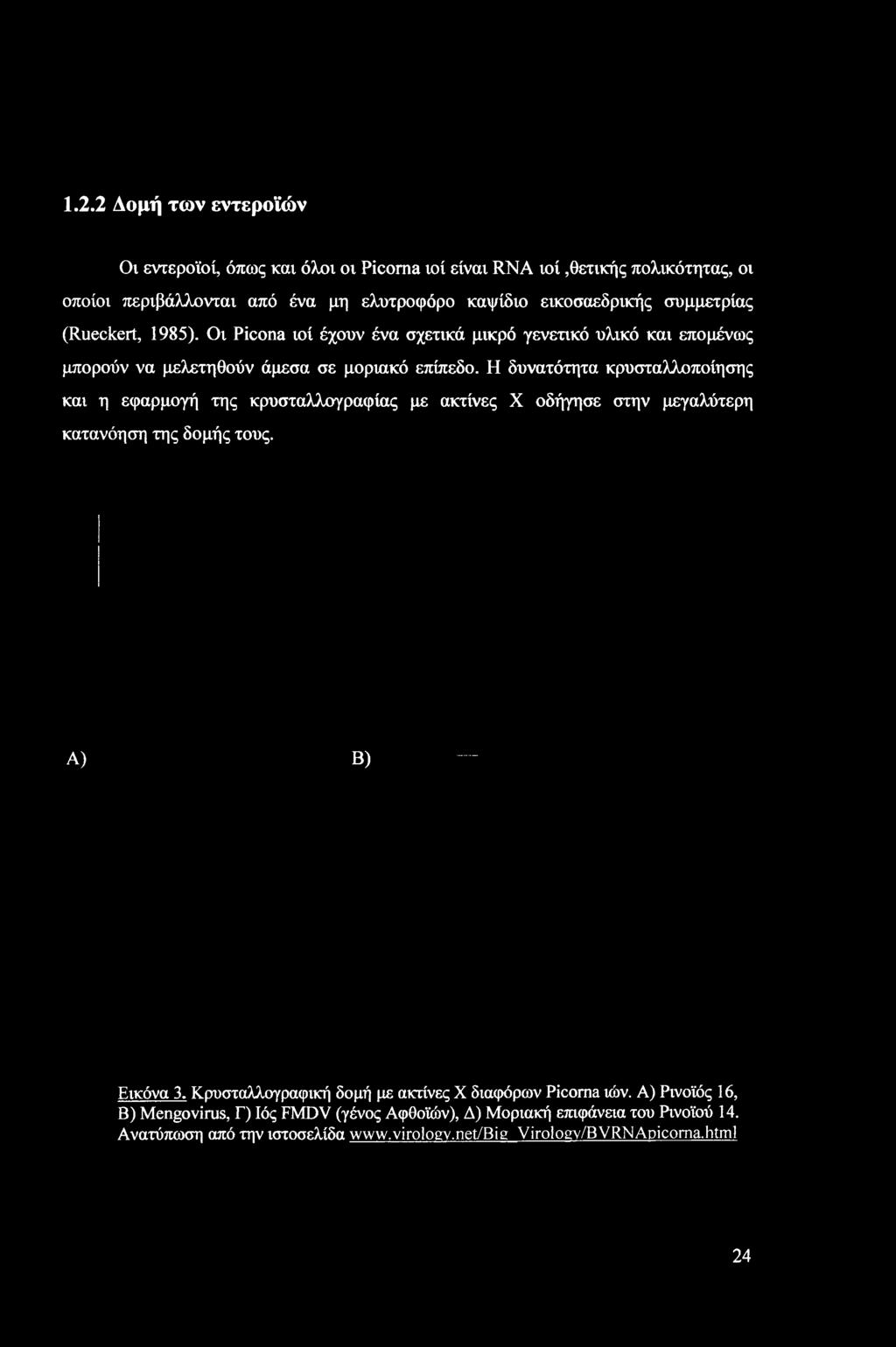 Η δυνατότητα κρυσταλλοποίησης και η εφαρμογή της κρυσταλλογραφίας με ακτίνες X οδήγησε στην μεγαλύτερη κατανόηση της δομής τους. Α) Β) Εικόνα 3.