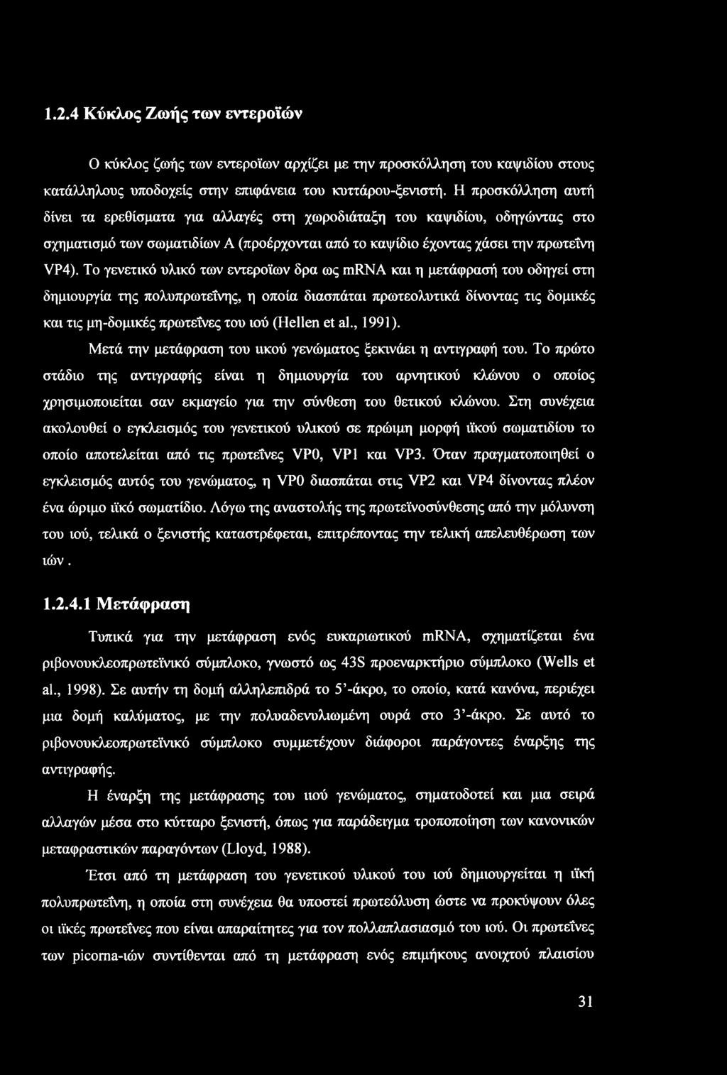 1.2.4 Κύκλος Ζωής των εντεροϊών Ο κύκλος ζωής των εντεροίων αρχίζει με την προσκόλληση του καψιδίου στους κατάλληλους υποδοχείς στην επιφάνεια του κυττάρου-ξενιστή.