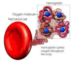 Αιμοσφαιρίνη (<13 g/dl σε άνδρες,