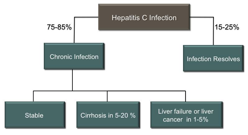 Ηπατίτιδα C Ο ασθενής δεν το ανέφερε αρχικά αλλά γνώριζε ότι είναι anti- HCV θετικός από τριετίας (είχε ελεγχθεί μετά από διάγνωση