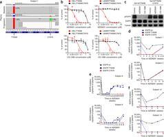 Resistance to T790M mutation 15 patients positive for the T790M mutation before treatment