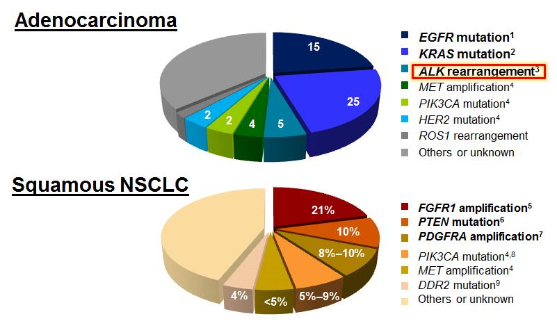 NSCLC: Μοριακό Προφίλ 1. Heist RS, Engelman JA. Cancer Cell 2012;21;448.e2; 2. Herbst RS, et al. N Engl J Med 2008;359:1367 1380; 3. Scholl LM, et al. J Thorac Oncol 2013;8:322 328; 4.