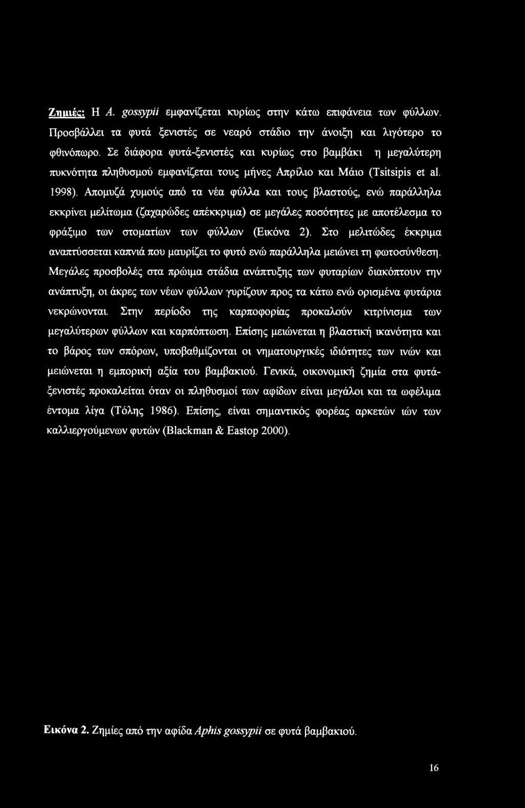 Μεγάλες προσβολές στα πρώιμα στάδια ανάπτυξης των φυταρίων διακόπτουν την ανάπτυξη, οι άκρες των νέων φύλλων γυρίζουν προς τα κάτω ενώ ορισμένα φυτάρια νεκρώνονται.