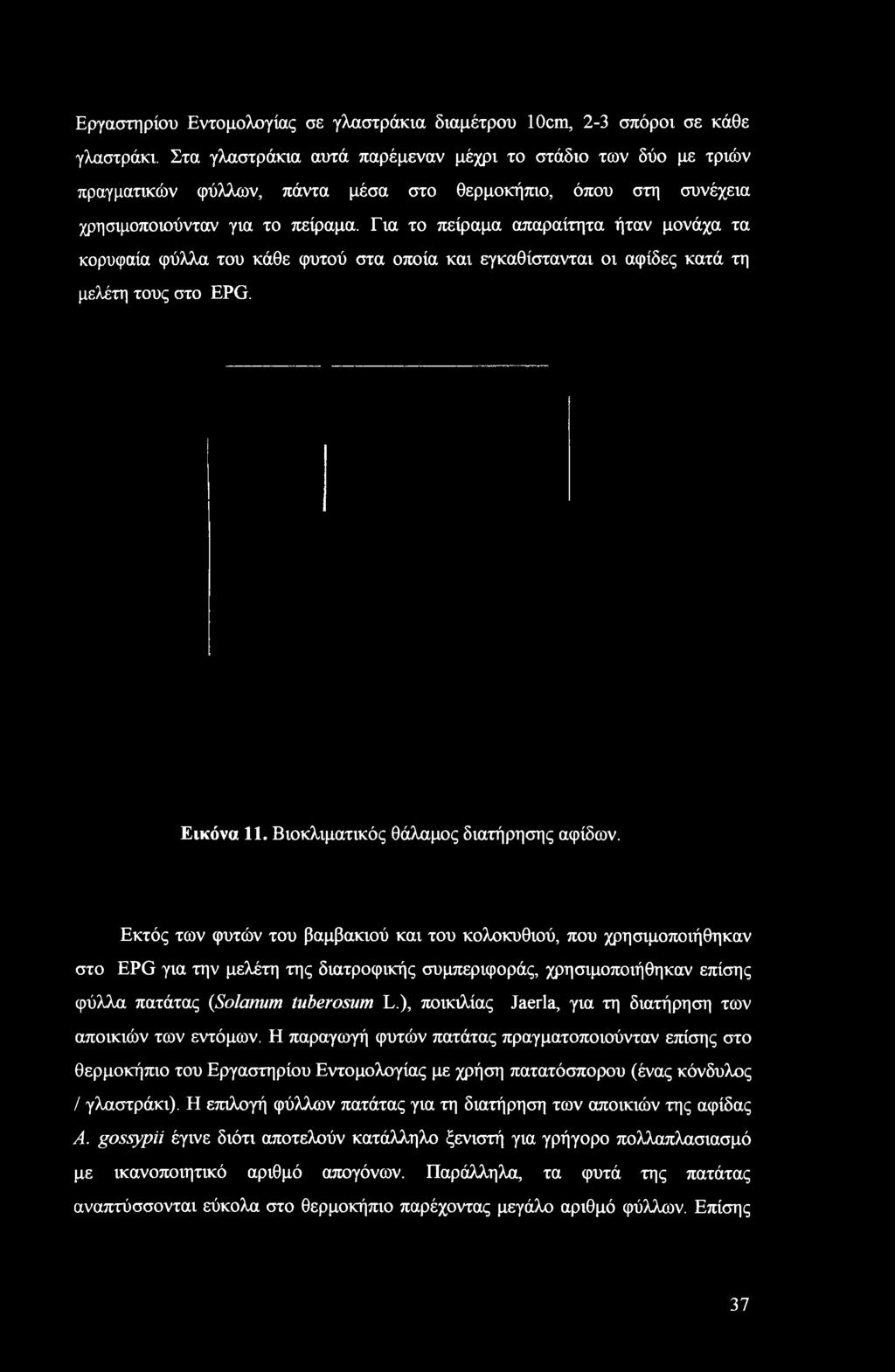Για το πείραμα απαραίτητα ήταν μονάχα τα κορυφαία φύλλα του κάθε φυτού στα οποία και εγκαθίστανται οι αφίδες κατά τη μελέτη τους στο EPG. Εικόνα 11. Βιοκλιματικός θάλαμος διατήρησης αφίδων.