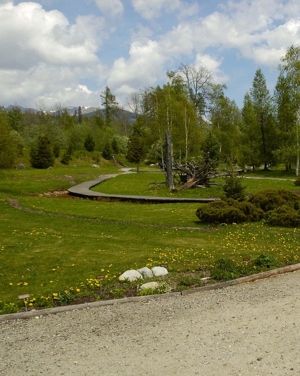 Biológia FOTOEXKURZIA BOTANICKOU ZÁHRADOU V TATRANSKEJ LOMNICI Jedna z najzaujímavejších slovenských botanických záhrad sa