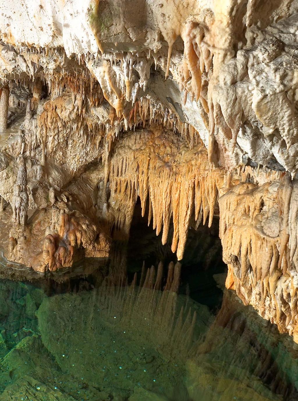 Geológia V jaskyni sa našli kosti jaskynného medveďa a žije tu niekoľko zaujímavých jaskynných druhov článkonožcov.