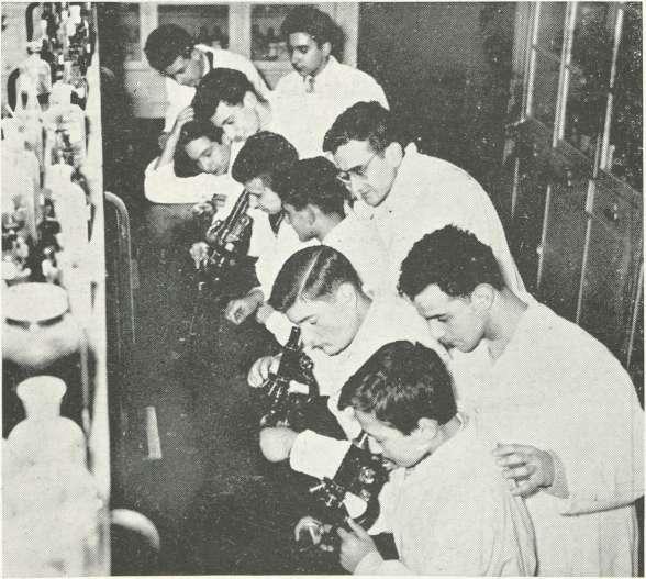 The purpose of the Biology Club is to perform such experiments as time and equipment allow.