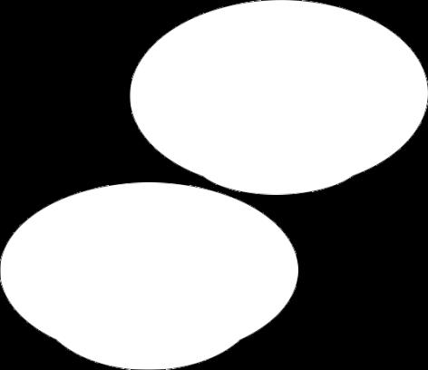 732685 4 031872