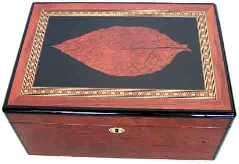 M Cigar Humidor 82018 