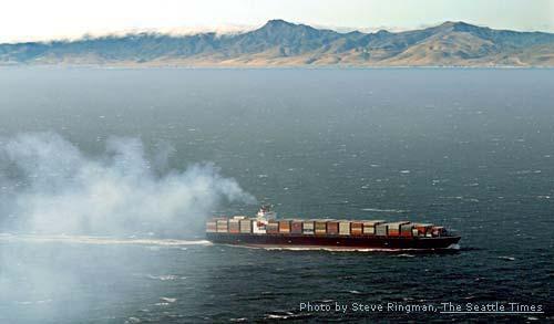 human lung Large particles are of less concern since removed by pulmonary system Fine particulates are