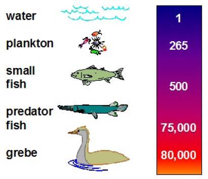 Ρύποι από κινητήρες Diesel Βιοσυσσώρευση (bioaccumulation) Η συσσώρευση χημικών ουσιών στα κύτταρα ή τους ιστούς ενός οργανισμού. 29/09/2017 Εγκαταστάσεις 2017-2018 Νικόλαος Π.