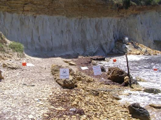 δηµοπρασία σε κατοίκους του.. Βασιλικού.